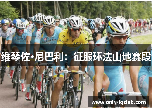 维琴佐·尼巴利:征服环法山地赛段 维琴佐·尼巴利:征服环法山地赛段