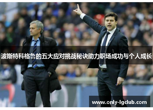 波斯特科格鲁的五大应对挑战秘诀助力职场成功与个人成长 波斯特科格鲁的五大应对挑战秘诀助力职场成功与个人成长