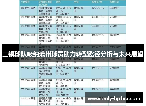 三镇球队吸纳沧州球员助力转型路径分析与未来展望 三镇球队吸纳沧州球员助力转型路径分析与未来展望