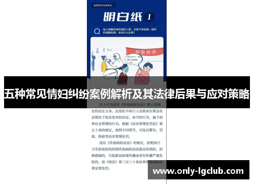 五种常见情妇纠纷案例解析及其法律后果与应对策略