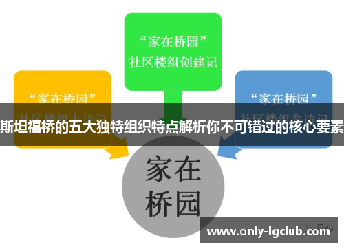 斯坦福桥的五大独特组织特点解析你不可错过的核心要素 斯坦福桥的五大独特组织特点解析你不可错过的核心要素