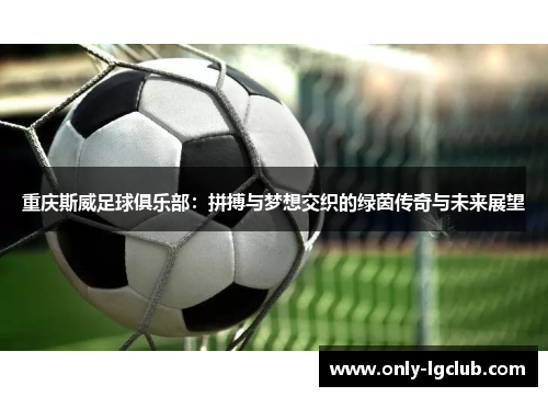 重庆斯威足球俱乐部：拼搏与梦想交织的绿茵传奇与未来展望