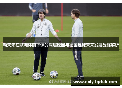 勒夫未在欧洲杯前下课的深层原因与德国足球未来发展战略解析