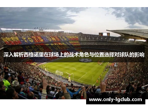 深入解析西格诺里在球场上的战术角色与位置选择对球队的影响 深入解析西格诺里在球场上的战术角色与位置选择对球队的影响