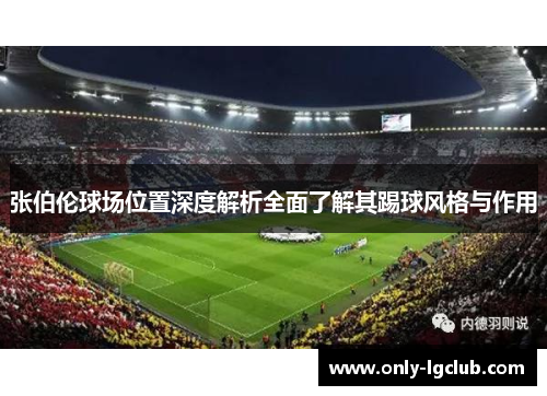张伯伦球场位置深度解析全面了解其踢球风格与作用 张伯伦球场位置深度解析全面了解其踢球风格与作用