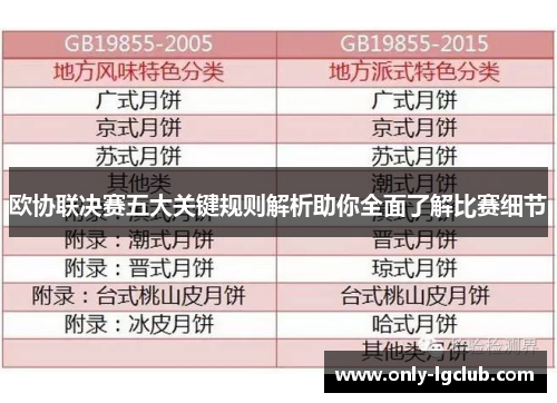 欧协联决赛五大关键规则解析助你全面了解比赛细节