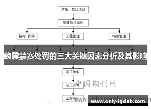 魏震禁赛处罚的三大关键因素分析及其影响
